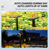 Solar Powered Pathway Lights with PET Laminated Monocrystalline Panel, NiMH Battery, and Black Aluminum Body – Auto On/Off at Dusk, Cordless Installation for Garden Walkways, Patio Steps, Flower Beds, and Landscape Accents – Choose 6000K Cool White or 300