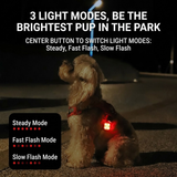 Rechargeable LED Night Safety Light for Dogs - Clip-On Glowing Pendant with IPX4 Waterproof, 3 Light Modes, and Long Battery Life for Evening Walks, Jogging, and Outdoor Adventures (Purple) In Australia - Darrahopens
