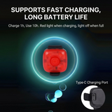 Rechargeable LED Night Safety Light for Dogs - Clip-On Glowing Pendant with IPX4 Waterproof, 3 Light Modes, and Long Battery Life for Evening Walks, Jogging, and Outdoor Adventures (Purple) In Australia - Darrahopens