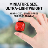 Rechargeable LED Night Safety Light for Dogs - Clip-On Glowing Pendant with IPX4 Waterproof, 3 Light Modes, and Long Battery Life for Evening Walks, Jogging, and Outdoor Adventures (Yellow) In Australia - Darrahopens