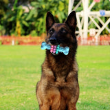 Durable Dog Chew Toy for Aggressive Chewers – Fun Bone-Shaped Dental Toy with Flower Ring Design, Ideal for Medium to Large Dogs, Great for Teeth Cleaning and Training Rewards (Blue)