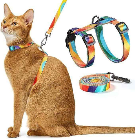 Adjustable Anti-Escape Cat Harness and Leash Set – Soft, Breathable, and Lightweight for Safe Outdoor Adventures with Your Feline Friend (Orange) In Australia - Darrahopens