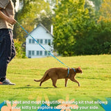 Adjustable Anti-Escape Cat Harness and Leash Set – Soft, Breathable, and Lightweight for Safe Outdoor Adventures with Your Feline Friend (Orange)
