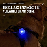 Rechargeable LED Dog Collar Light – IPX4 Waterproof Night Safety Beacon for Walks, Hiking & Camping, 3 Flashing Modes, USB-Powered, Keeps Your Pet Brightly Visible and Secure in Low Light (Blue) In Australia - Darrahopens