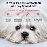 Orthopedic Foam Pet Stairs with Washable Cover – Safe 2, 3, & 4 Tier Dog Ramp for Bed & Couch Access, Gentle Slope for Puppies, Small Breeds, and Senior Pets Needing Joint Relief (Beige, 2Tier)