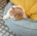 Stylish Leaf-Shaped Pet Mat, Ultra-Soft Plush Faux-Down Filled Dog & Cat Bed Topper, Cozy Foldable Crate Cushion for Year-Round Comfort, Machine Washable Floor Blanket (Green)
