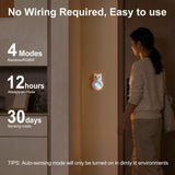 Adorable 3D Cartoon Bear LED Wall Light, Motion Sensor Night Light, Rechargeable, Magnetic Mount, No Wiring, Warm White & Rainbow Glow for Bedroom, Nursery, Bathroom, Hallway, Kitchen (White, 1PCS)