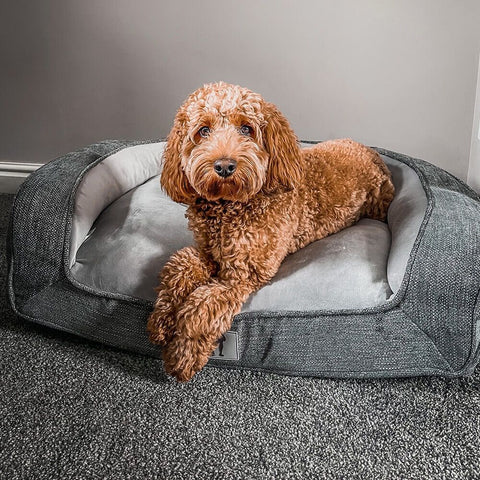 Plush Orthopedic Pet Sofa Bed with Bolstered Edges – Ultra-Soft Sponge Filled Luxury Dog and Cat Couch, Waterproof Inner Liner & Removable Washable Cover for Medium-Sized Pets Up to 35kg (Grey) In Australia - Darrahopens