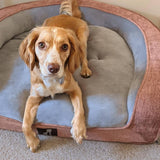Plush Orthopedic Pet Sofa Bed with Bolstered Edges – Ultra-Soft Sponge Filled Luxury Dog and Cat Couch, Waterproof Inner Liner & Removable Washable Cover for Medium-Sized Pets Up to 35kg (Pink)