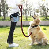 Pet Training Treat Pouch Waist Bag – Portable Hands-Free Fanny Pack for Dog Walking, Outdoor Hiking, and Everyday Carry, Thickened Wear-Resistant Fabric with Waterproof Lining, Holds Kibble, Poop Bags, Phone, and Small Essentials (Orange)