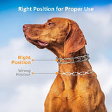 Heavy-Duty Dog Training Collar with Removable Stimulation Links, Anti-Pull Correction Chain for Reactive Dogs, Adjustable Fit for Large & Medium Breeds, Durable Metal Build with Rubber-Tipped Pins for Safe Obedience Walks (S) In Australia - Darrahopens
