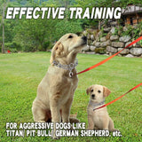 Heavy-Duty Dog Training Collar with Removable Stimulation Links, Anti-Pull Correction Chain for Reactive Dogs, Adjustable Fit for Large & Medium Breeds, Durable Metal Build with Rubber-Tipped Pins for Safe Obedience Walks (XL) In Australia - Darrahopens
