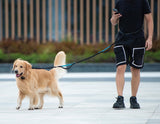 Hands-Free Dog Leash with Waist Belt and Storage Pouch, Shock-Absorbing Bungee Leash for Running, Walking, and Outdoor Adventures, Reflective Safety Design for Night Walks (Cyan) In Australia - Darrahopens