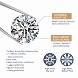 Elegant Moissanite Tennis Bracelet in 925 Sterling Silver with 18K Gold and Rhodium Plating, Featuring Certified Sparkling Stones for Daily Wear and Formal Occasions, Available in Multiple Lengths and Stone Sizes (4.0mm, 19cm（7.48in）)