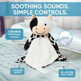 Lylah the Cow