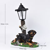 Resin Hummingbird Solar Lamp Outdoor Garden Sculpture Couple Hummingbird - Multi-color - Size 9 In Australia - Darrahopens