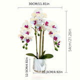 Artificial Phalaenopsis Touch-Sensitive Artificial Plant Moisturizing - Purple - Size 50-11-11 In Australia - Darrahopens