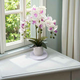 Artificial Phalaenopsis Touch-Sensitive Artificial Plant Moisturizing - Purple - Size 50-11-11 In Australia - Darrahopens