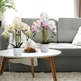 Artificial Phalaenopsis Touch-Sensitive Artificial Plant Moisturizing - Purple - Size 50-11-11 In Australia - Darrahopens