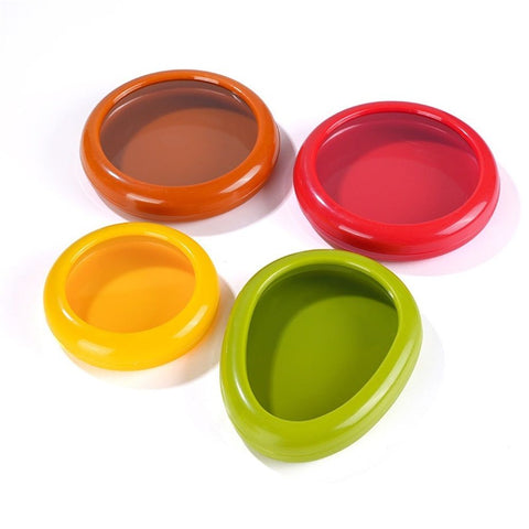 Avocado Saver and Tomato Holder - Set of 4 Reusable Storage Containers for Fridge - Ideal for Garlic, Onions, Lemons, and Potatoes In Australia - Darrahopens