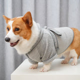 Dog Bathrobe, Microfiber Fast Drying Absorbent Hooded Bath Towel White for Puppy Small Medium Large Dog Cat (S, Gray)