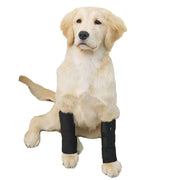 1 pair Dog Canine Front Leg Brace Paw Compression Wraps with Protects Wounds Brace Heals and Prevents Injuries and Sprains Helps with Loss of Stability Caused by Arthritis (M) In Australia - Darrahopens