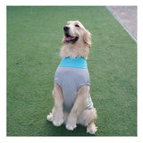 Dog Cooling Vest, Sun Protection Puppy T-Shirts, Quick Dry Dog Summer Clothes for Medium Dogs Boy Girl L In Australia - Darrahopens