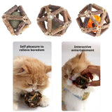 Catnip Toys, Natural Silvervine Stick & Bell Ball for Indoor Cats, Cat Chew Toy for Cleaning Teeth and Boredom, Cleaning Teeth Molar Tools, Kitten Teething and Dental Care Play Set (3pcs S+M+L) In Australia - Darrahopens