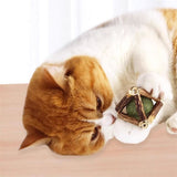 Catnip Toys, Natural Silvervine Stick & Bell Ball for Indoor Cats, Cat Chew Toy for Cleaning Teeth and Boredom, Cleaning Teeth Molar Tools, Kitten Teething and Dental Care Play Set (3pcs S+M+L)