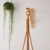 1 Pack Plant Hanger | Plant Hanger Indoor, Hanging Planter Shelf | Hanging Planter Potted green plant wall hanging（apricot）