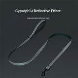 Waterproof Dog Leash,Durable Odor-Proof Dog Leashes with Strong Metal Hooks Fits Small Medium or Large Dogs （green M） In Australia - Darrahopens
