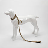 Bungee Dog Leash Elastic Leads Rope with 2 Padded Control Handle for Medium and Small Dogs reflective leash