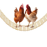 Chicken Coop Toy Chicken Toys for Hens Natural Wood Chicken Ladder Chicken Swing Chicken Perch for Birds Poultry Rooster Chicks