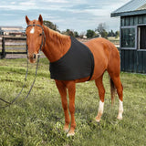 Horse Shoulder Guard, High Elastic Fabric Horse Vest - Anti-Rub Bib Comfortable scratch resistant protective vest- Black (Size)