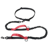 Exquisite Hands Free Dog Leash for Large Dogs. Ultimate Comfort & Freedom for Running, Walking, Hiking. Premium Quality, Durable & Versatile Waist Leash. Your Dog Will Love It. (Red) In Australia - Darrahopens
