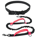 Exquisite Hands Free Dog Leash for Large Dogs. Ultimate Comfort & Freedom for Running, Walking, Hiking. Premium Quality, Durable & Versatile Waist Leash. Your Dog Will Love It. (Red) In Australia - Darrahopens