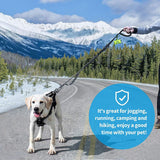 Heavy Duty Dog Leashes for Large Dogs,Car Seatbelt and Metal Carabiner Clip, Strong No Pull Dog Leash for Medium In Australia - Darrahopens