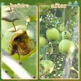 2 PCS Large Fruits Tree Netting Cover for Garden,  Insect Bird Barrier Deer Netting Cover Bag with Drawstring Garden Plant Netting for Tomato Blueberry Bush Netting Covers（70*100㎝） In Australia - Darrahopens