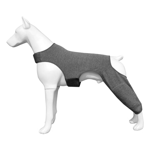 Right Left Leg Recovery Sleeve for Dogs Rear Legs, Pet Prevent Licking Wound Elbow Protector, Protective Wound Pants for Dogs for Sprain   Arthritis Joint Care Grey L In Australia - Darrahopens