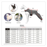 Right Left Leg Recovery Sleeve for Dogs Rear Legs, Pet Prevent Licking Wound Elbow Protector, Protective Wound Pants for Dogs for Sprain   Arthritis Joint Care Grey L In Australia - Darrahopens