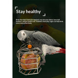 Bird Stainless Steel Foraging Feeder Parrot Hanging Feeding Box for Macaw  Grey Cockatoo Cockatiel  Cage   Stainless Steel Baffle Cage In Australia - Darrahopens