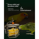 Bird Stainless Steel Foraging Feeder Parrot Hanging Feeding Box for Macaw  Grey Cockatoo Cockatiel  Cage   Stainless Steel Baffle Cage In Australia - Darrahopens