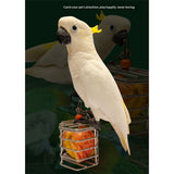 Bird Stainless Steel Foraging Feeder Parrot Hanging Feeding Box for Macaw  Grey Cockatoo Cockatiel  Cage   Stainless Steel Baffle Cage