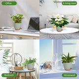 Plant Pots Indoor Set of 5 Self Watering Planters for Indoor Plants with Drainage Hole, Plastic Flower Pots for Succulents (Green)