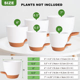 Plant Pots Indoor Set of 5 Self Watering Planters for Indoor Plants with Drainage Hole, Plastic Flower Pots for Succulents (Green)