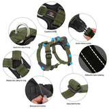 Dog Harness for  Dogs, No Pull Dog Harness Easy Walk with Metal Hardware, Ergonomic Y-Shaped Design, Soft Padding, Padded Handle, Durable High-Tensile cortex (Green, L) In Australia - Darrahopens