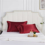 Pillow Case 2 Pack Pillowcase for Hair and Skin Satin Pillow Covers with Zipper Closure (Queen( 20x30in)-Wine Red In Australia - Darrahopens