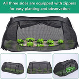 Garden Cover for Raised Beds  Pop-Up Mesh Plant Garden Bed Cover for Vegetables, Seedlings, Fruits, Frost Protection, Outdoor Gardening Bird and Animal Barrier Greenhouse Cover (Black) In Australia - Darrahopens