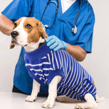 Dog Rehabilitation Surgical Clothing - Male and Female, Adjustable Anti Licking, Breathable and Comfortable, L， blue stripes