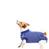 Dog Rehabilitation Surgical Clothing - Male and Female, Adjustable Anti Licking, Breathable and Comfortable, L， blue stripes